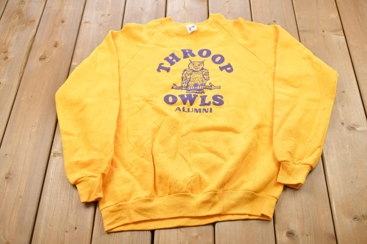 Vintage 1980s Throop Owls Alumni Graphic Crewneck Sweatshirt / 80s Crewneck / Souvenir / Athleisure / Streetwear / Travel And Tourism