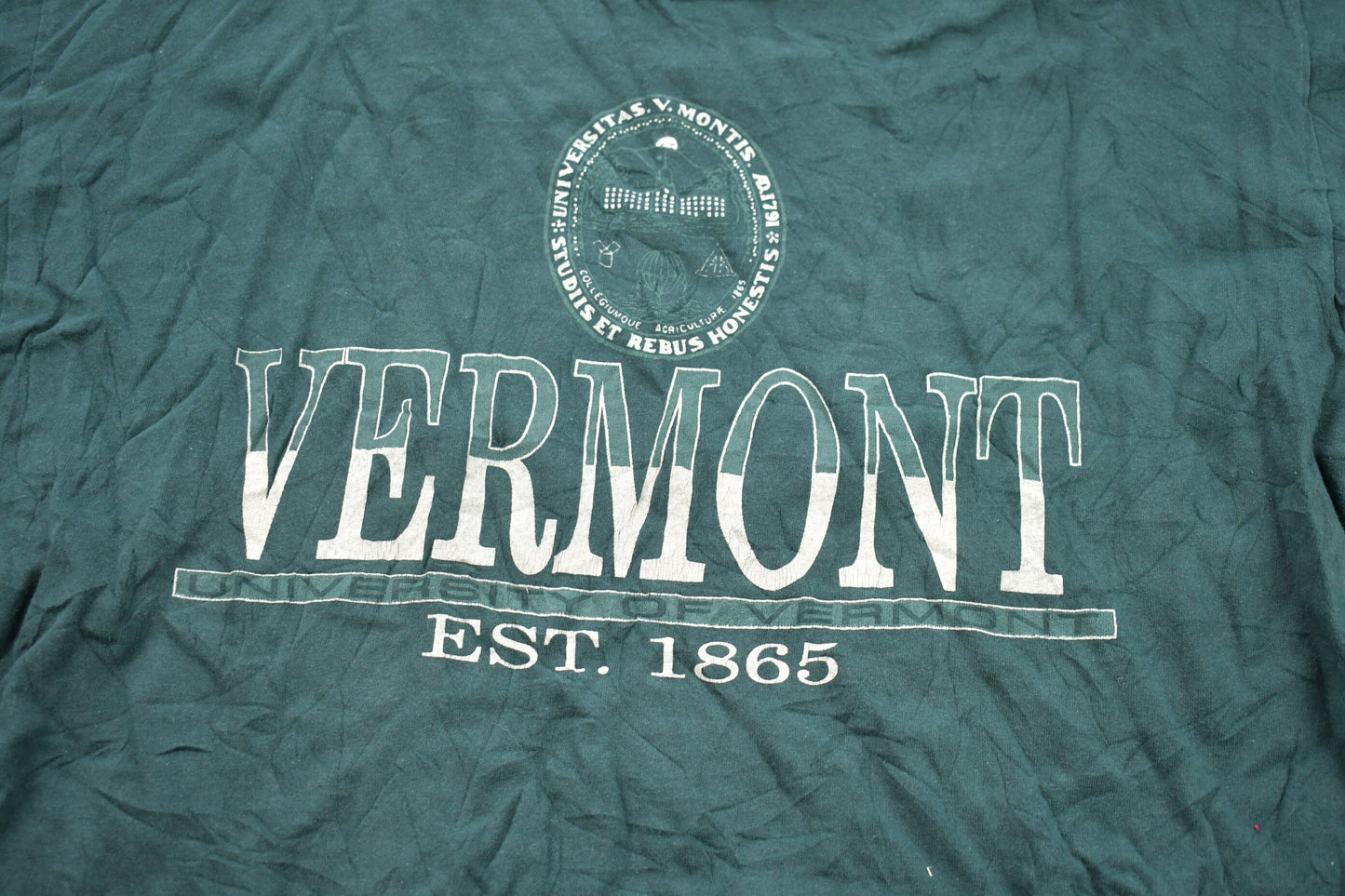 Vintage 1990s Jan Sport Vermont Graphic T-Shirt