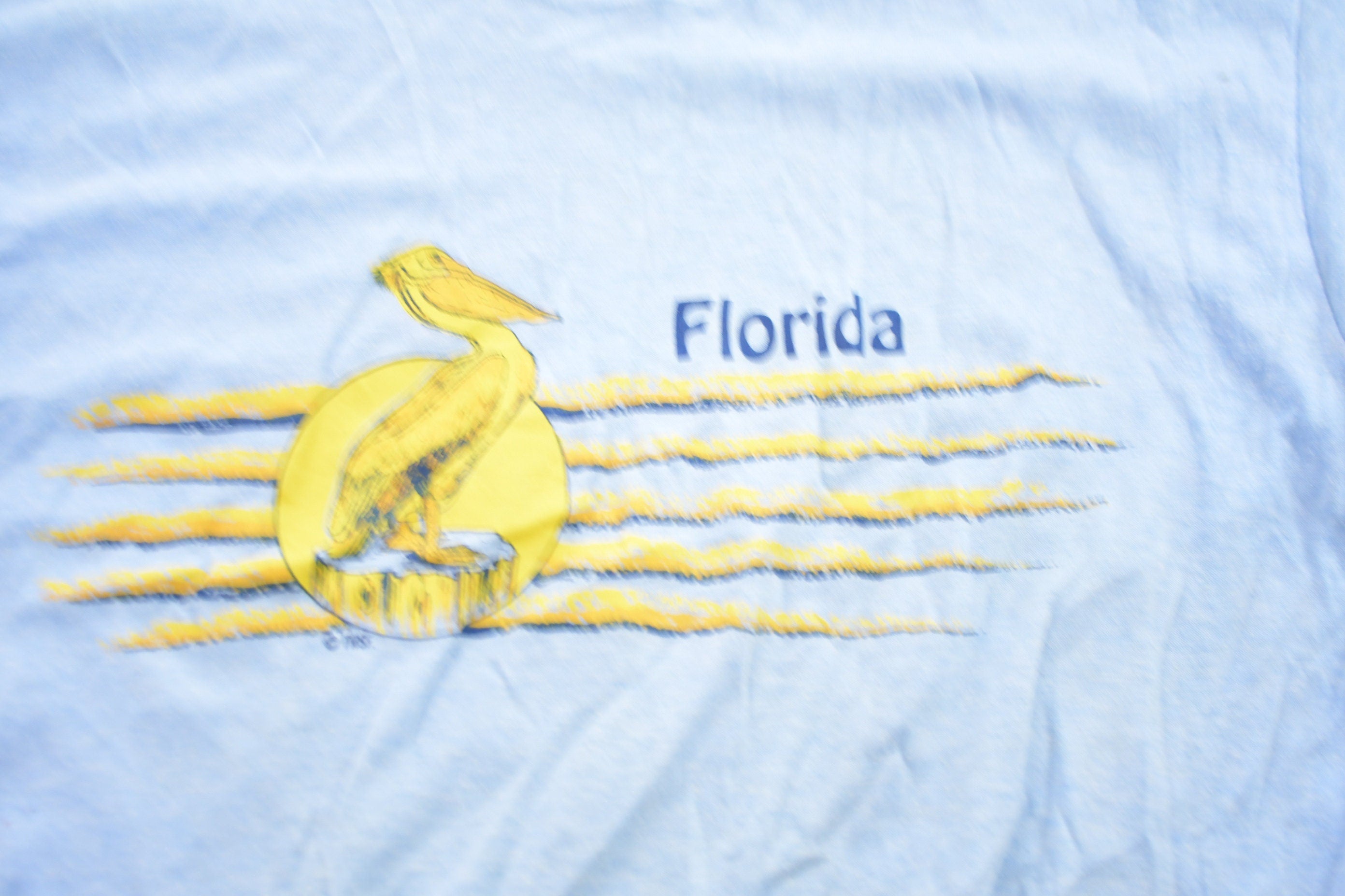 Vintage 1980s Florida Graphic T-Shirt