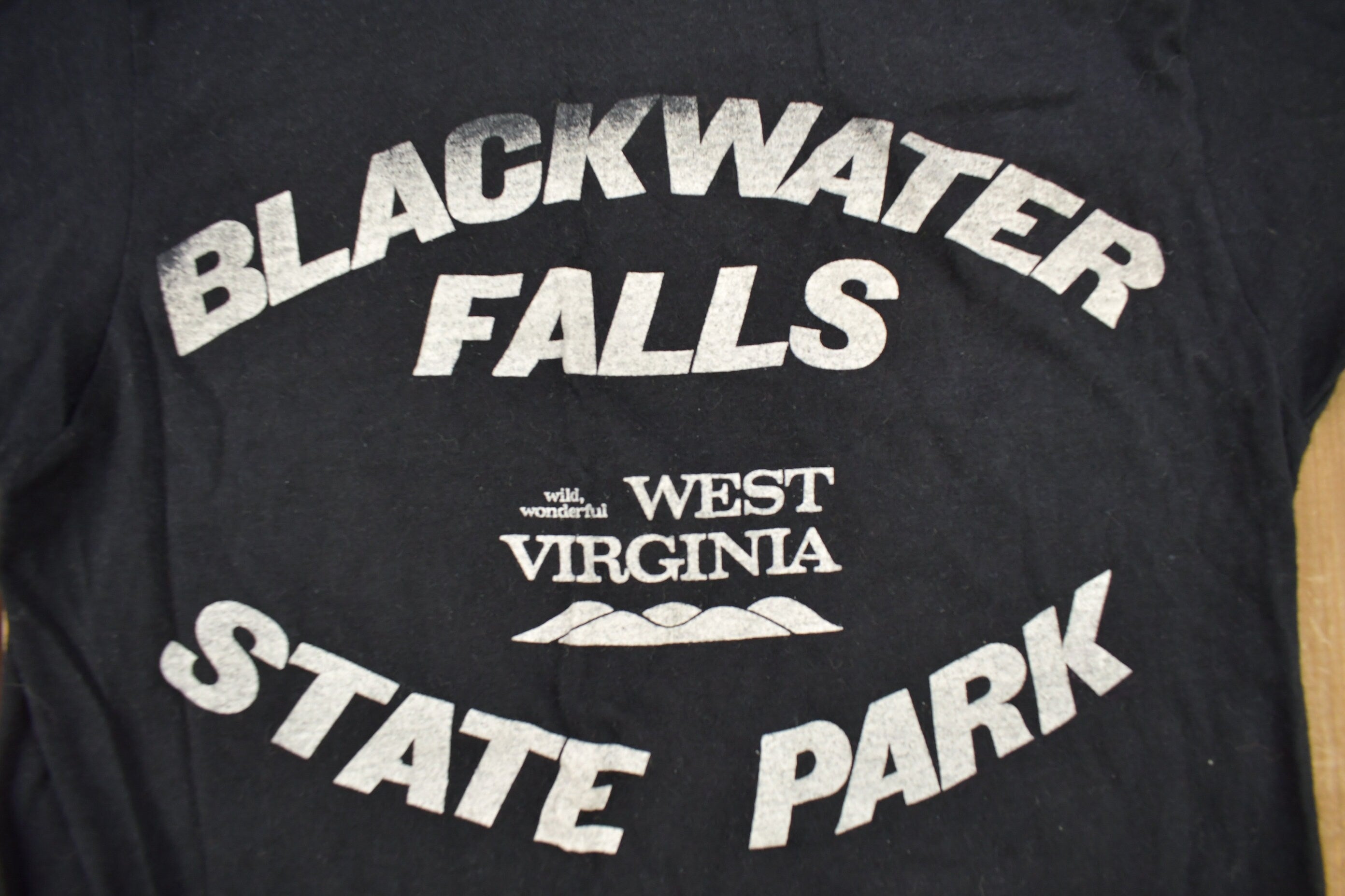 Vintage 1970s Black Water Falls State Park west Virginia Souvenir T Shirt
