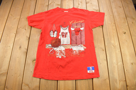 Vintage 1990s Chicago Bulls NBA Embroidered T-Shirt / Made In USA / Single Stitch / NBA Basketball / 90s Streetwear / Sportswear