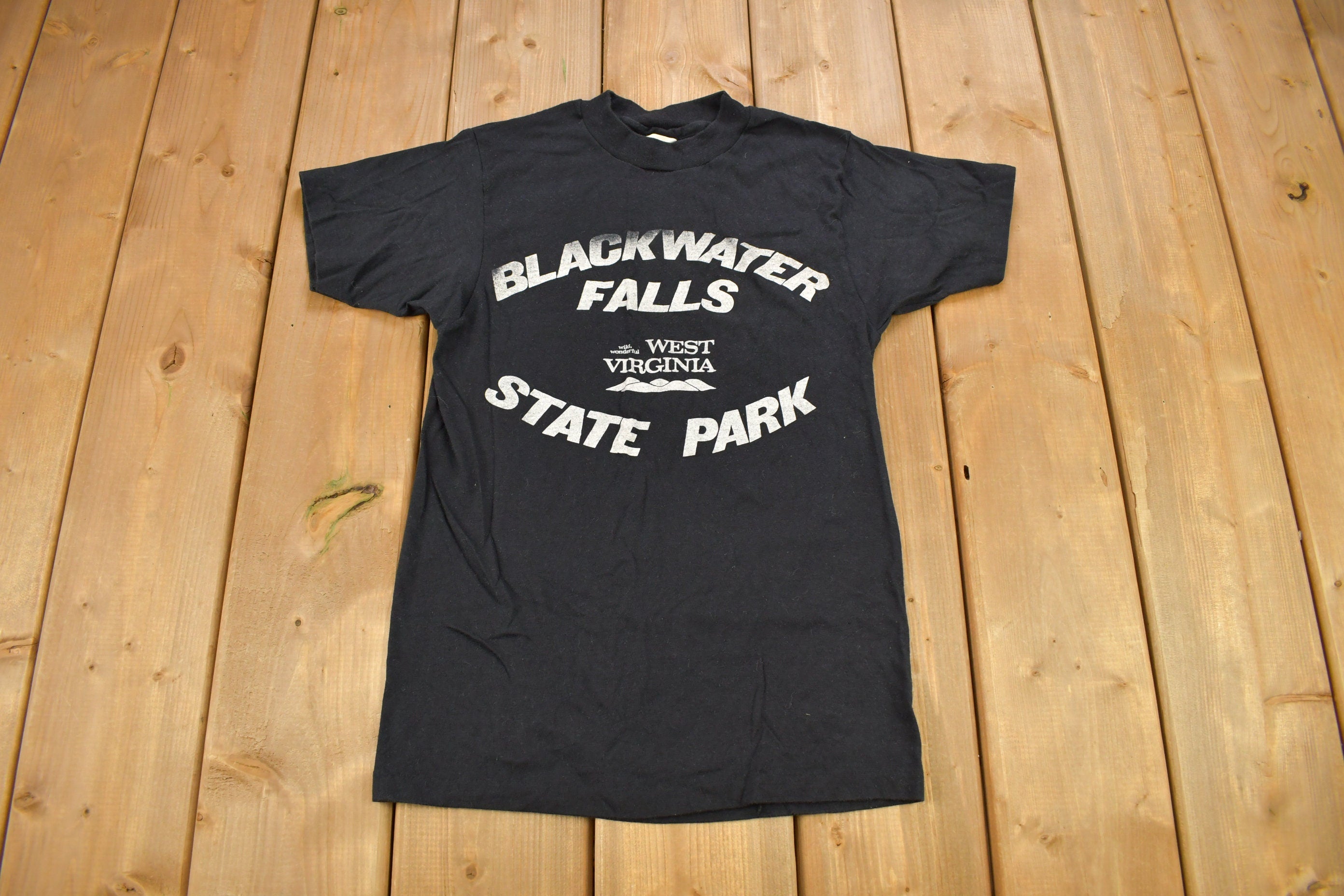 Vintage 1970s Black Water Falls State Park west Virginia Souvenir T Shirt