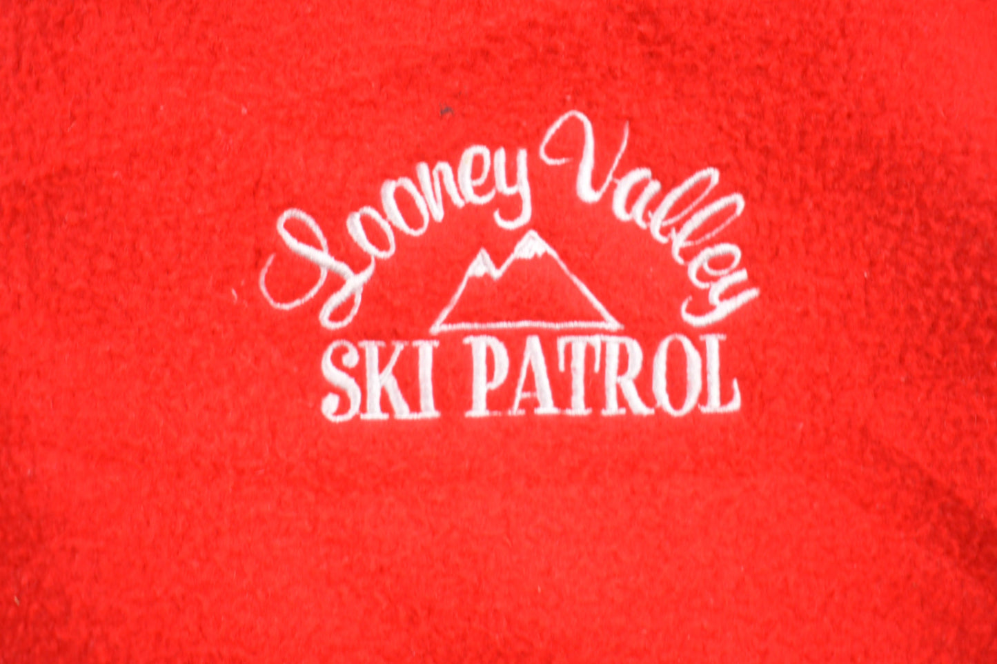 Vintage 1990s Looney Tunes Valley Ski Patrol Embroidered Fleece Hoodie / Quarter Zip / Looney Tunes / Warner Bros Pullover Sweatshirt