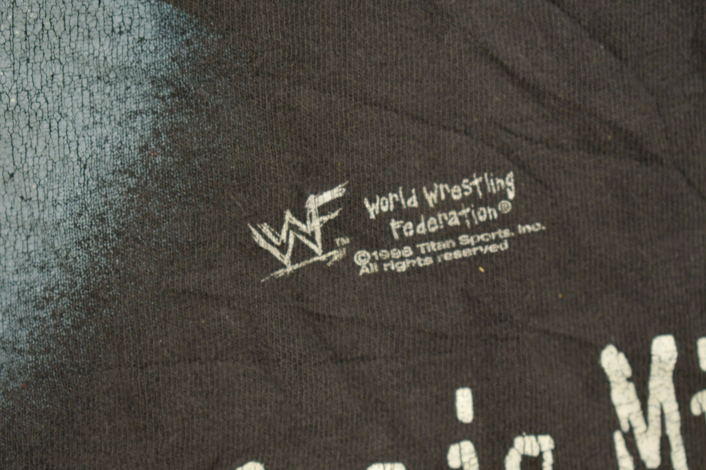 Vintage 1998 Stone Cold Steve Austin Wrestling Graphic T-Shirt / 90s Single Stitch / Made In USA / Streetwear / Pure Whoops Ass