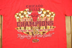 Vintage 1998 Chicago Bulls NBA Graphic T-Shirt