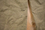 Vintage 1960s G.D.Bucking-Alsfeld Wool hunting Pants Size 30 x 30