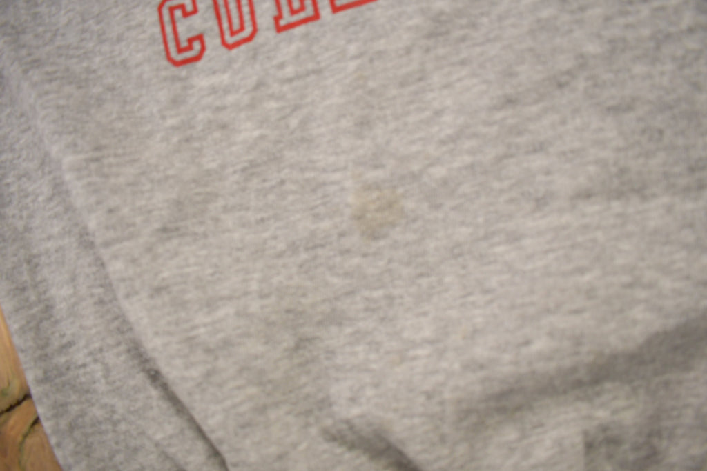 Vintage 1970s Grove City College Collegiate Raglan Crewneck