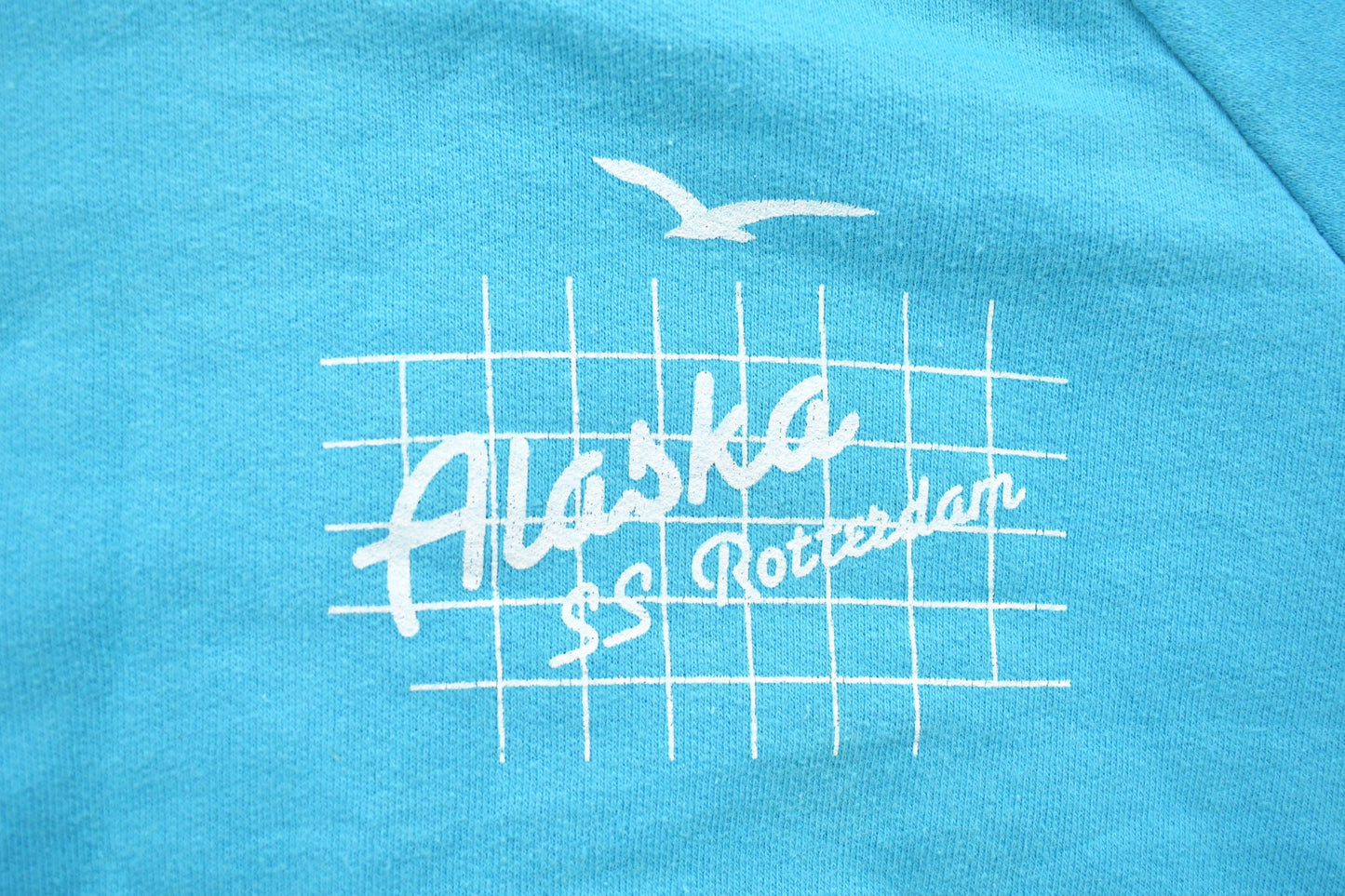 Vintage 1990s Alaska SS Rotterdam Graphic Hoodie / 90s Hoodie / Vintage Sweater / Vintage Alaska / Nautical Theme / SS Rotterdam