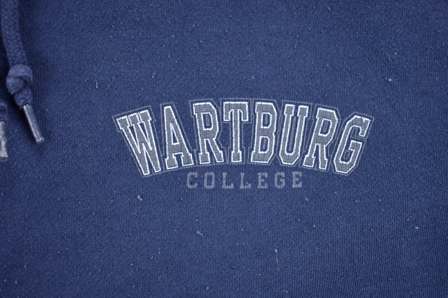 Vintage 1990s Wartburg College Iowa Collegiate Hoodie