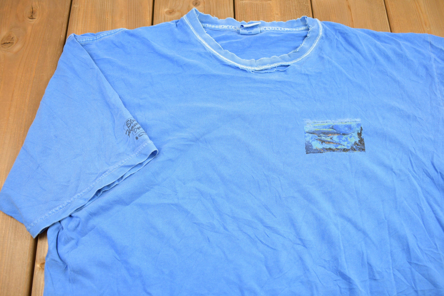 Vintage 1990s San Diego Dolphin Souvenir T Shirt / Streetwear / Vacation Tee / Travel T Shirt / Distressed