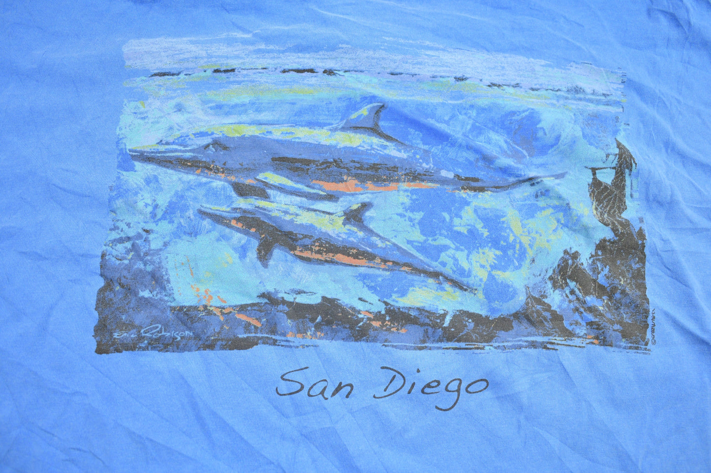 Vintage 1990s San Diego Dolphin Souvenir T Shirt / Streetwear / Vacation Tee / Travel T Shirt / Distressed