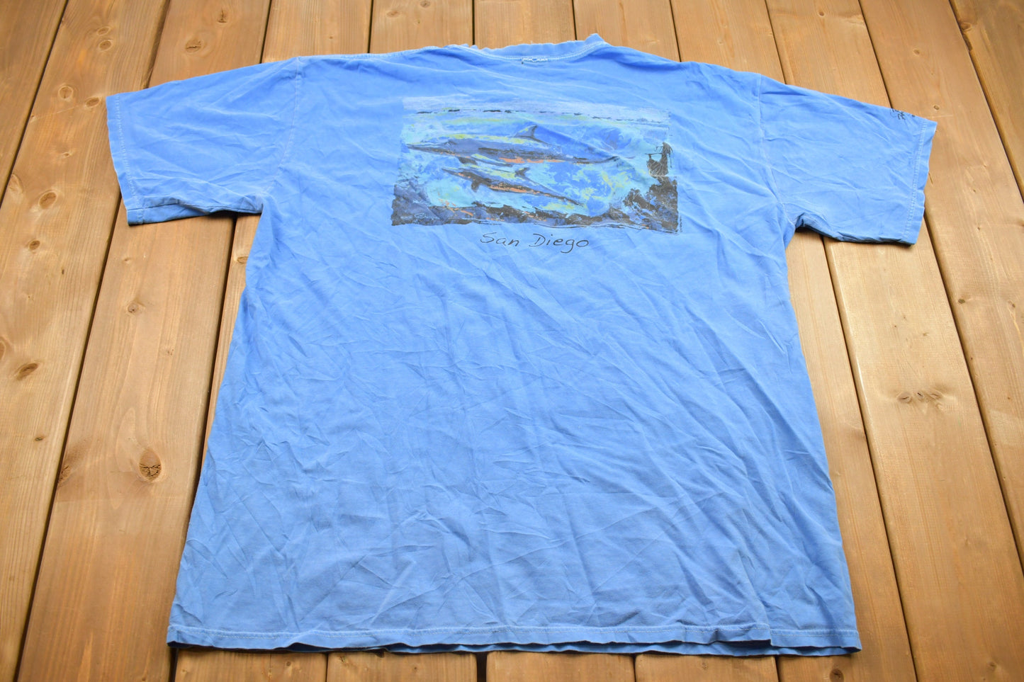 Vintage 1990s San Diego Dolphin Souvenir T Shirt / Streetwear / Vacation Tee / Travel T Shirt / Distressed