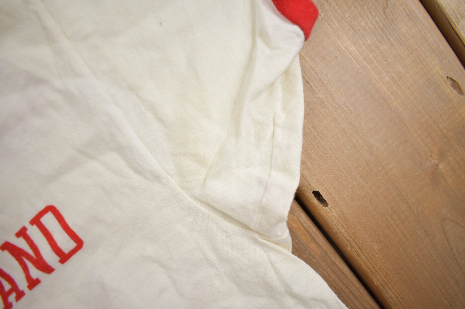 Vintage 1980s Northern Illinois University Collegiate Champion T-Shirt