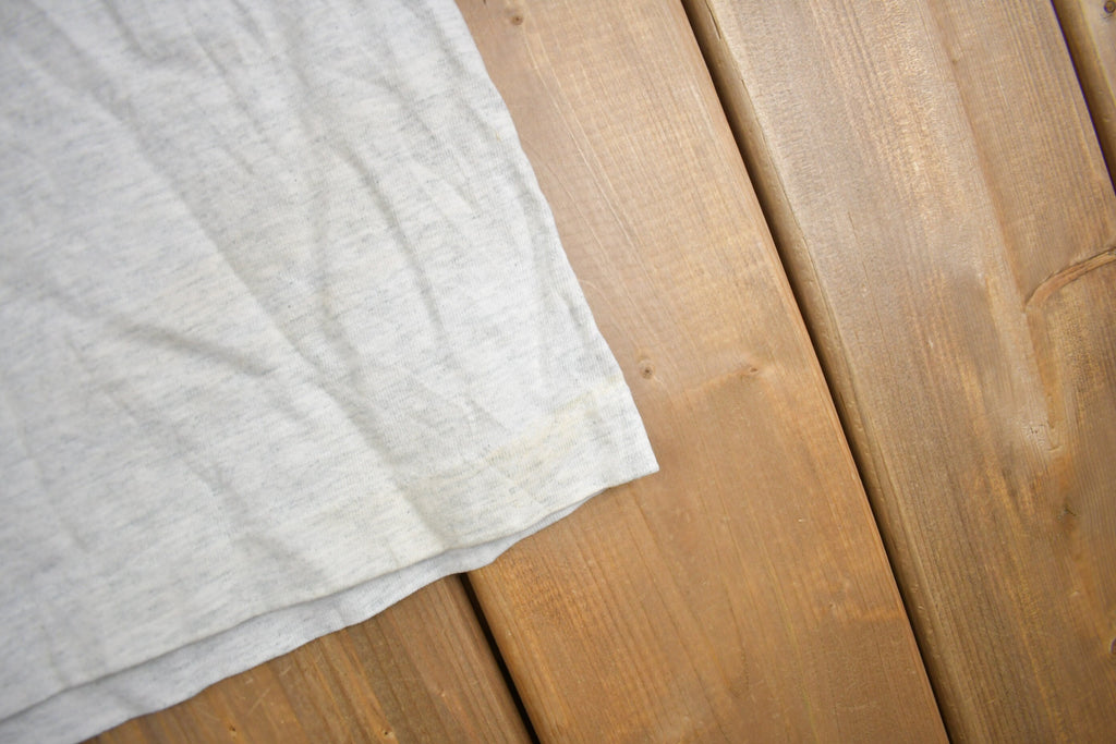 Vintage 1991 Minnesota Twins MLB World Champions Graphic T-Shirt