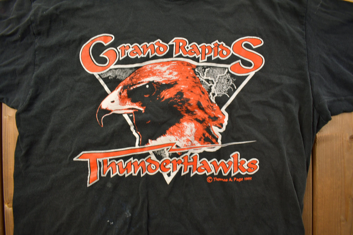 Vintage 1993 Grand Rapids Thunderhawks Graphic T Shirt / Vintage T Shirt / Streetwear / Graphic Tee / Single Stitch / Made In USA