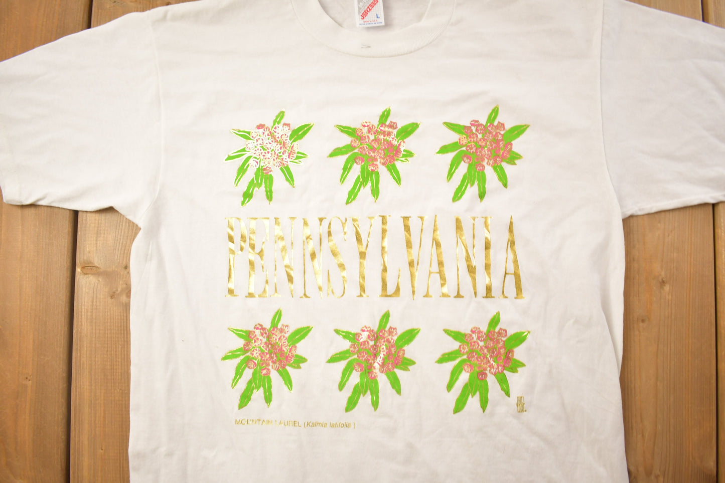 Vintage 1990s Pennsylvania T-Shirt / 90s / Streetwear Fashion / Made In USA / Vacation Tee / Travel & Tourism