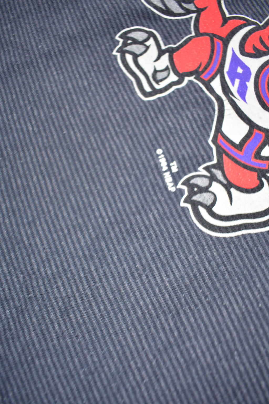 Vintage 1994 Toronto Raptors Graphic T-Shirt