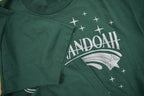 Vintage 1990s Shenandoah Band T-shirt
