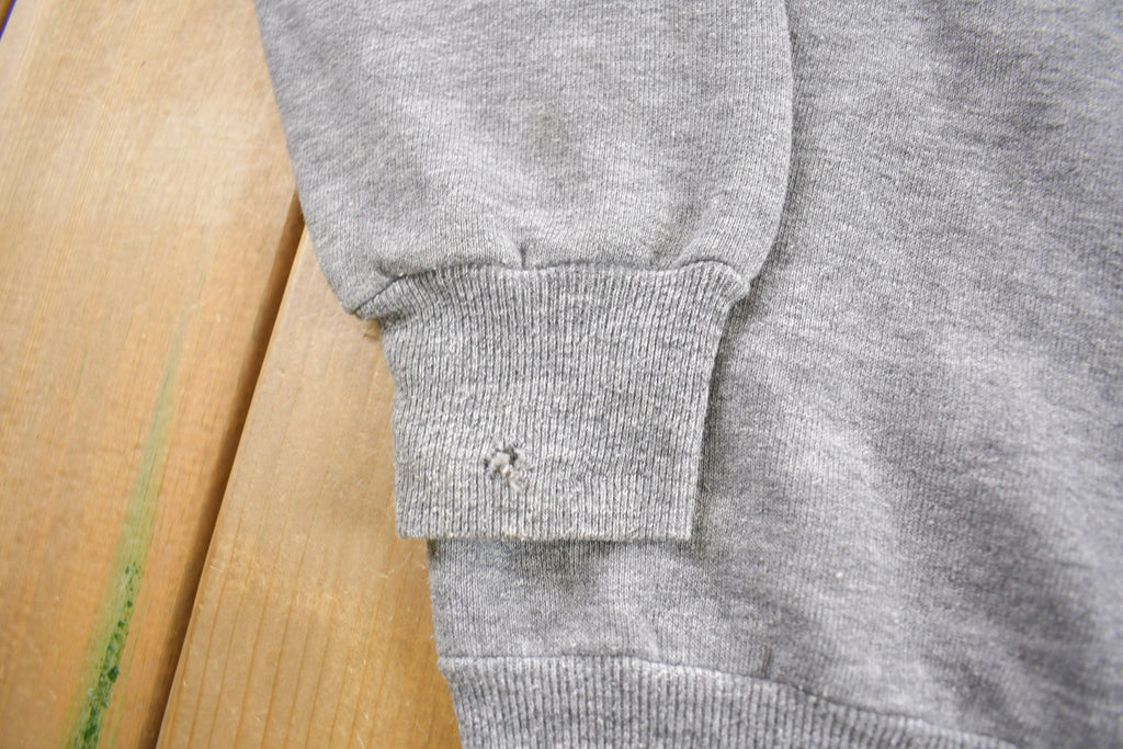 Vintage 1970s Albert Einstein Raglan Crewneck Sweatshirt