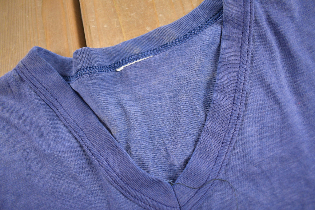 Vintage 1970s Toronto Alhambra Iblza-193 Graphic T-Shirt