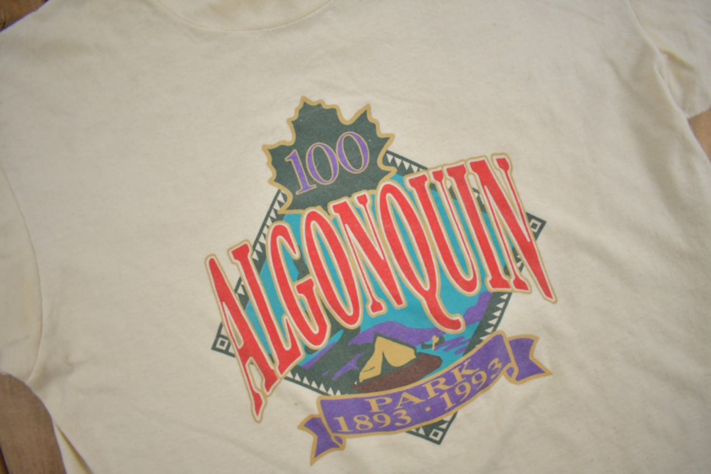 Vintage 1993 Algonquin Park Ontario Graphic T Shirt / Vintage Camping T Shirt / Outdoorsman / Graphic Tee / Single Stitch / Made In Canada