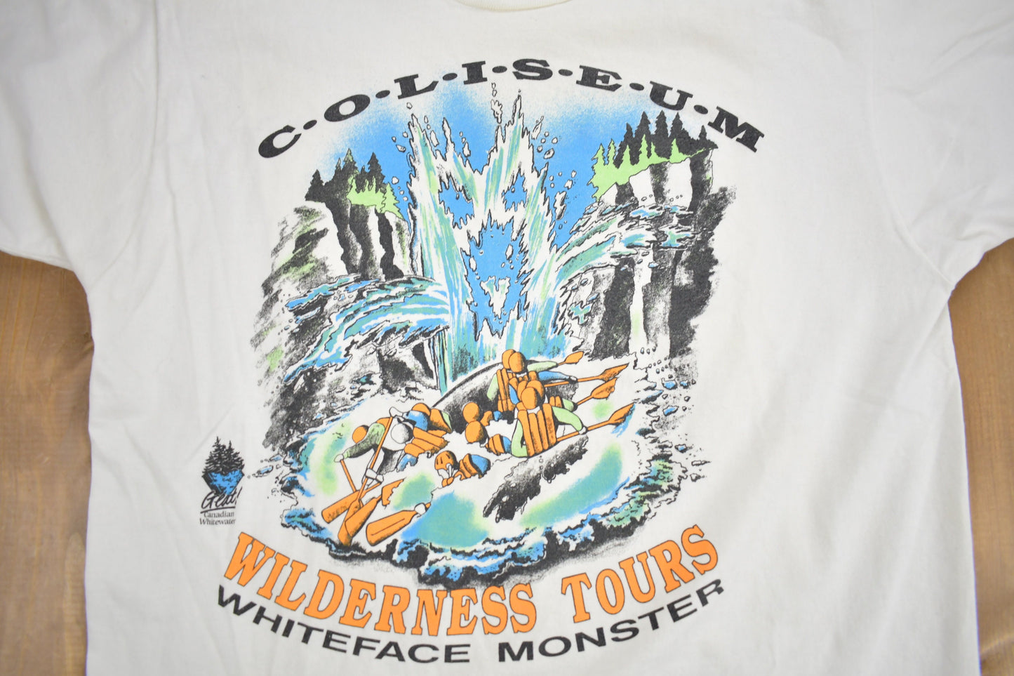 Vintage 1990s Coliseum Whiteface Monster Wilderness Tours Graphic T Shirt / Vintage T Shirt / Streetwear / Graphic Tee / Single Stitch