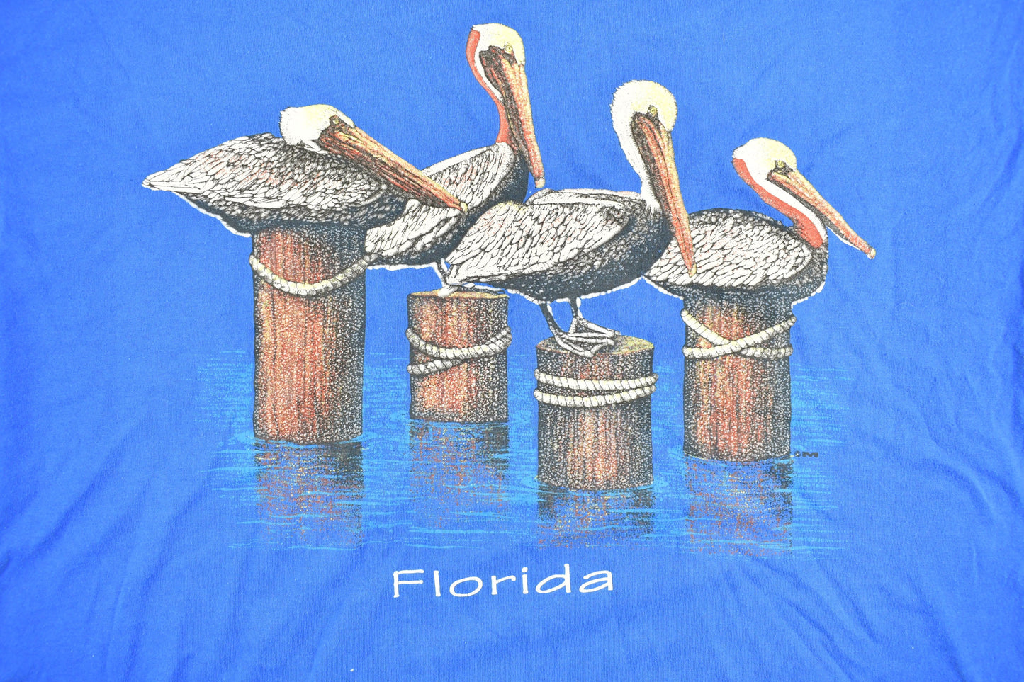 Vintage 1990s Blue Florida Pelican Souvenir T Shirt / Streetwear / Vacation Tee / Travel T Shirt / Vintage Florida / Single Stitch