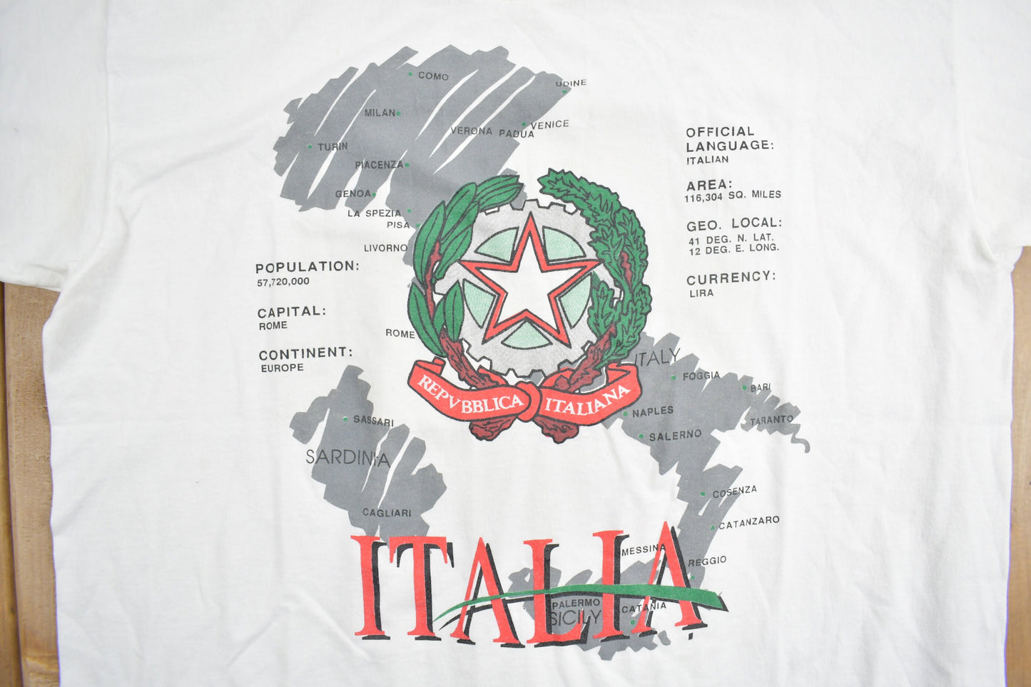 Vintage 1990's Italia Italy Informational Souvenir T Shirt / Streetwear / Vacation Tee / Travel T Shirt / Made In USA / Single Stitch /