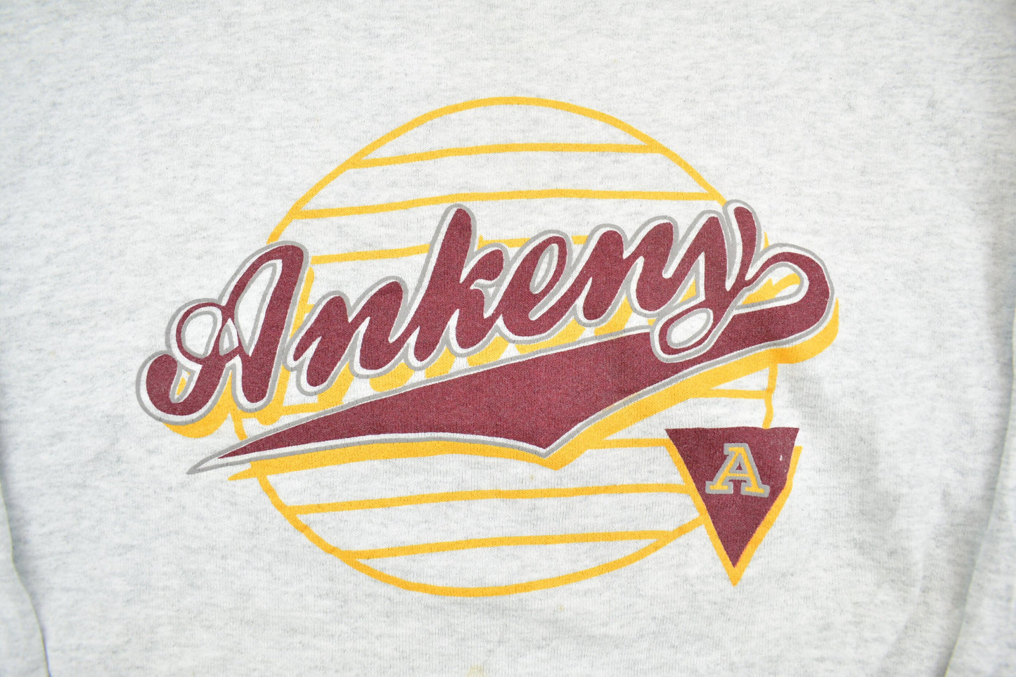 Vintage 1990s Ankeny Iowa Crewneck Sweatshirt / 90s Crewneck / Souvenir Sweater / Travel And Vacation / Fruit Of The Loom / Made In USA /