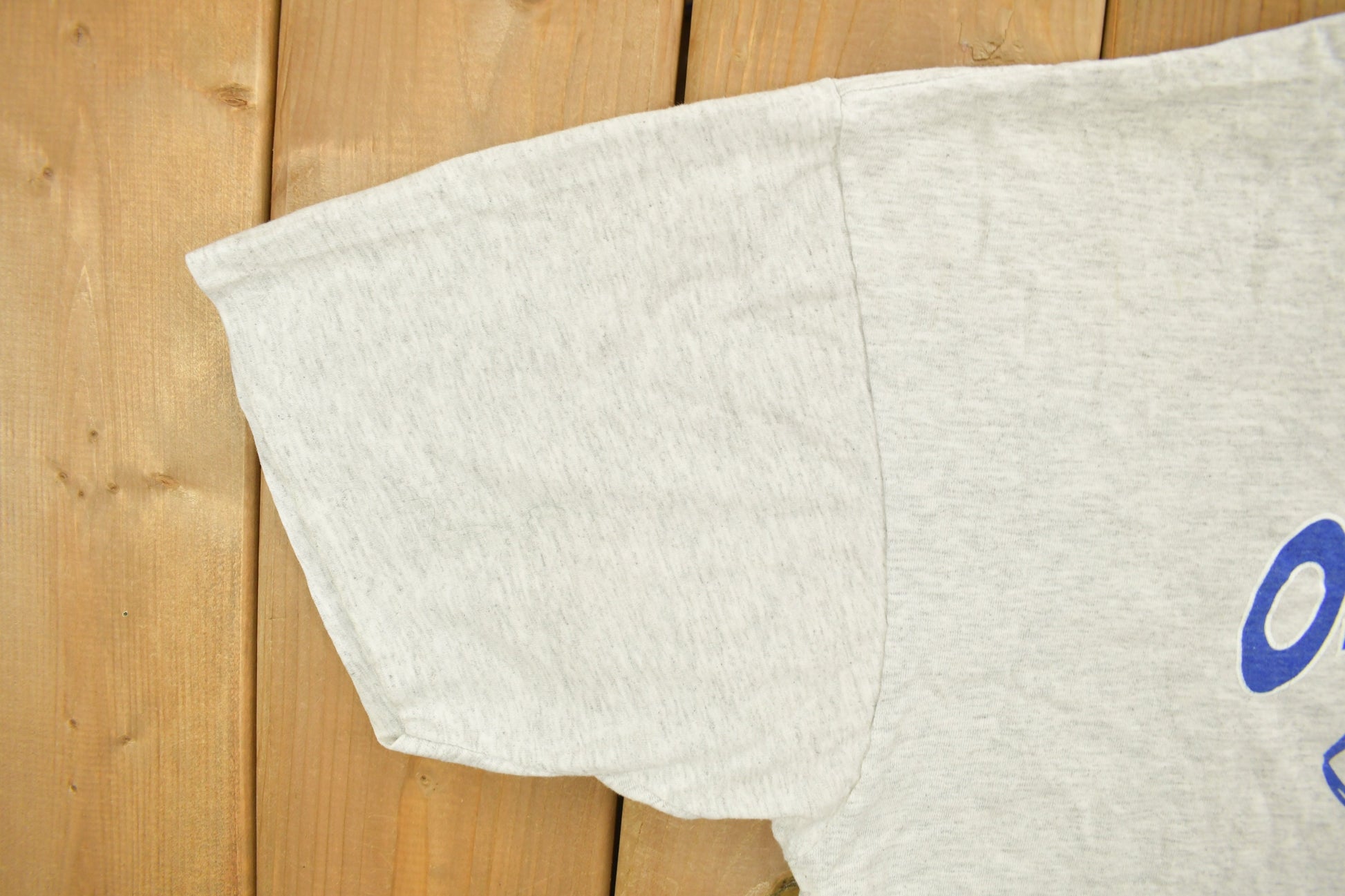 Vintage 1990s Oakridge High School Eagles Collegiate T-Shirt