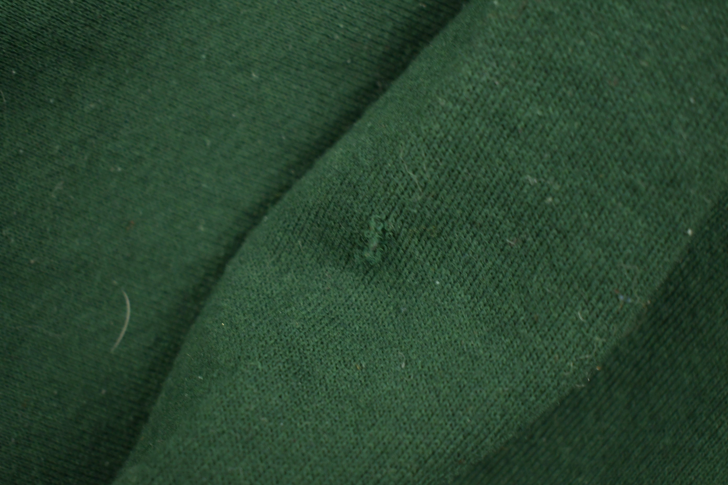 Vintage 1996 1996 Greenbay Packers Central Division Champs Sweatshirt