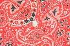 Vintage 1970s Red Paisley Button Up Shirt