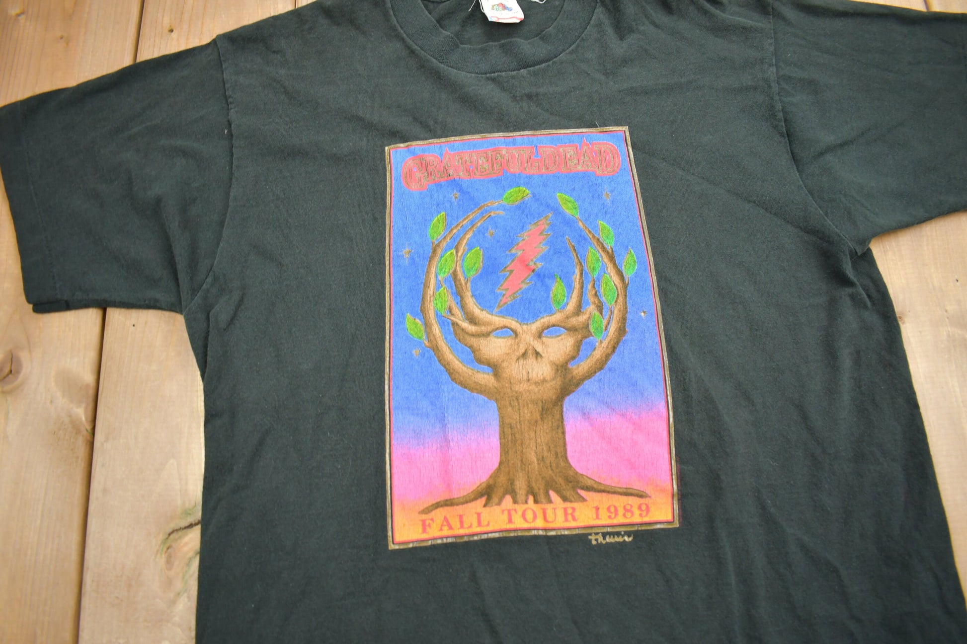 Vintage 1989 Grateful Dead Fall Tour Graphic Band Tee Single Stitch