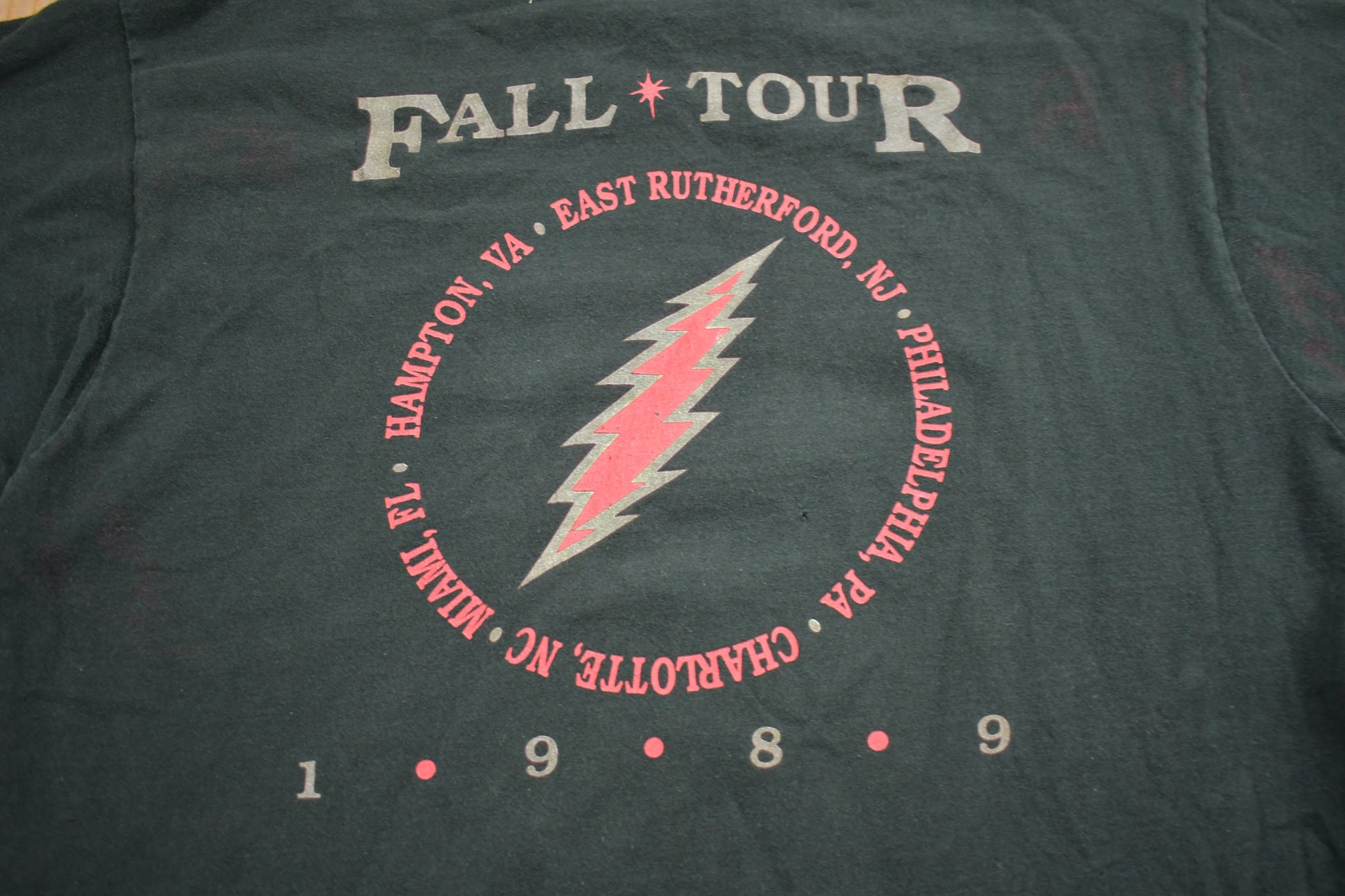 Vintage 1989 Grateful Dead Fall Tour Graphic Band Tee Single Stitch