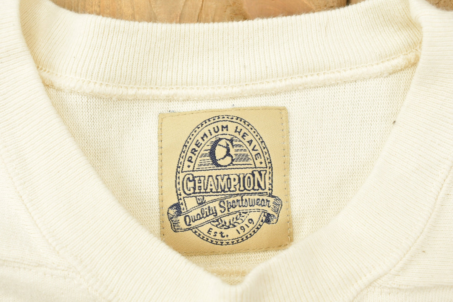 Vintage 1990s Champion Crewneck Sweatshirt / Vintage Champion / Vintage Pullover / Streetwear / Athleisure Sportswear / Striped Champion