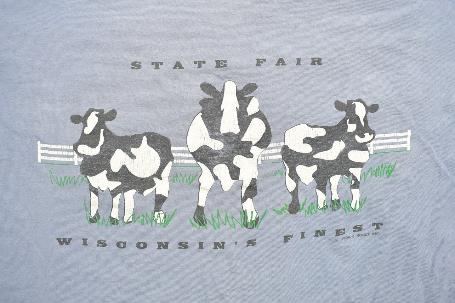 Vintage 1990s Wisconsin State Fair Souvenir T Shirt / Streetwear / Made In USA / Vacation Tee / Travel T Shirt / Cow Theme / 90s Wisconsin