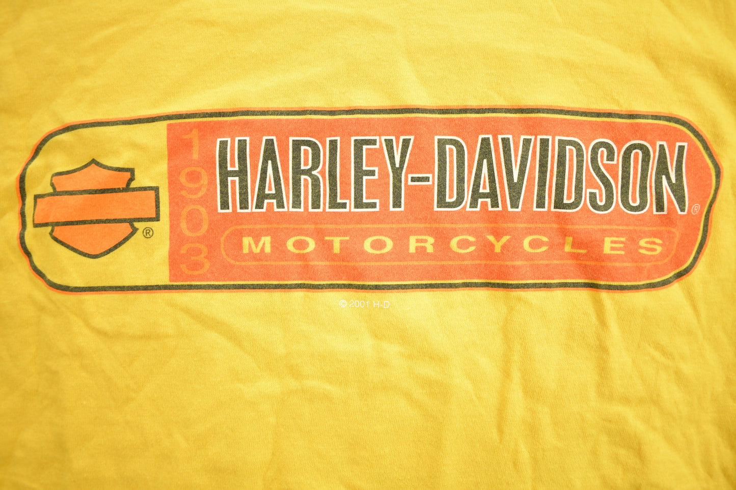 Vintage 2001 Harley Davidson T-Shirt