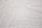 Vintage 1990s "No More Mr Nice Guy" Beaver Graphic T Shirt