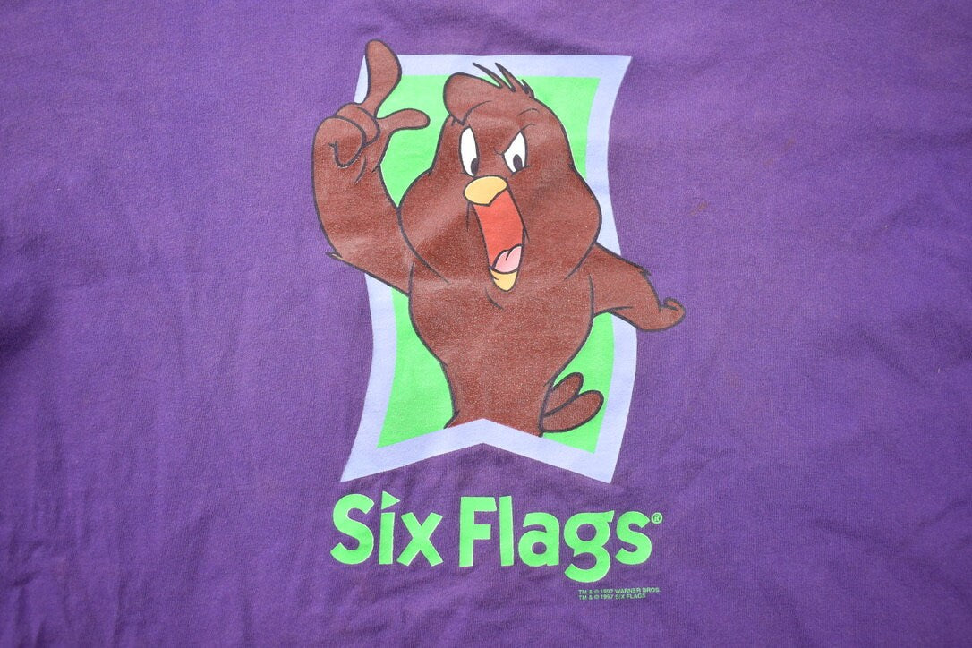 Vintage 1996 Six Flags Henry Hawk Looney Tunes T-Shirt / Six Flags Theme Park / Tweety Bird Cartoon Graphic / Single Stitch / Made In USA