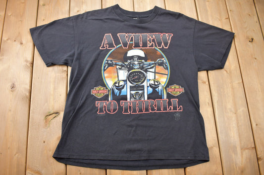 Vintage 1990s Harley Davidson A View to Thrill Graphic T-Shirt / Graphic Harley T-Shirt / 90s / Streetwear / Retro Style / Graphic Biker Tee