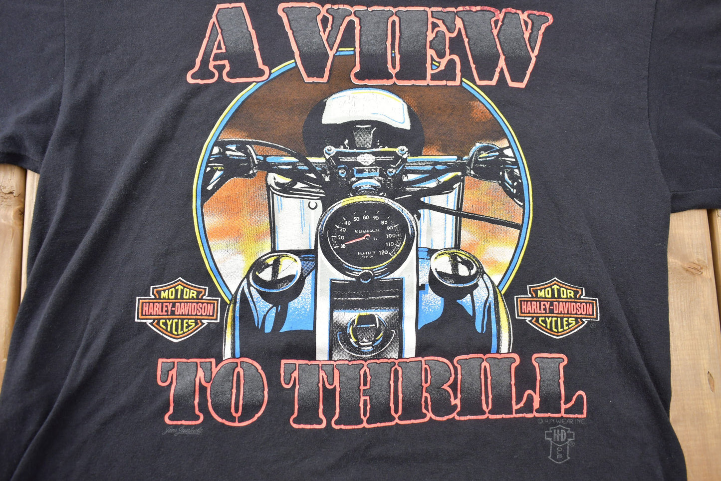 Vintage 1990s Harley Davidson A View to Thrill Graphic T-Shirt / Graphic Harley T-Shirt / 90s / Streetwear / Retro Style / Graphic Biker Tee