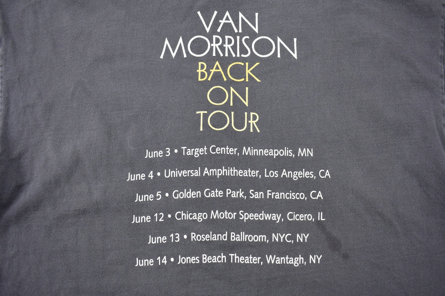 Vintage 1990s Van Morrison Back on Tour T-shirt / Band Tee / Port and Company / Music Promo / Premium Vintage