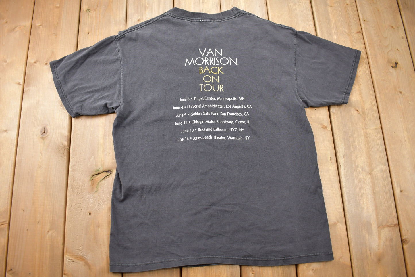 Vintage 1990s Van Morrison Back on Tour T-shirt / Band Tee / Port and Company / Music Promo / Premium Vintage