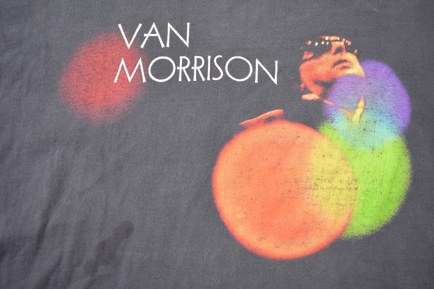 Vintage 1990s Van Morrison Back on Tour T-shirt / Band Tee / Port and Company / Music Promo / Premium Vintage