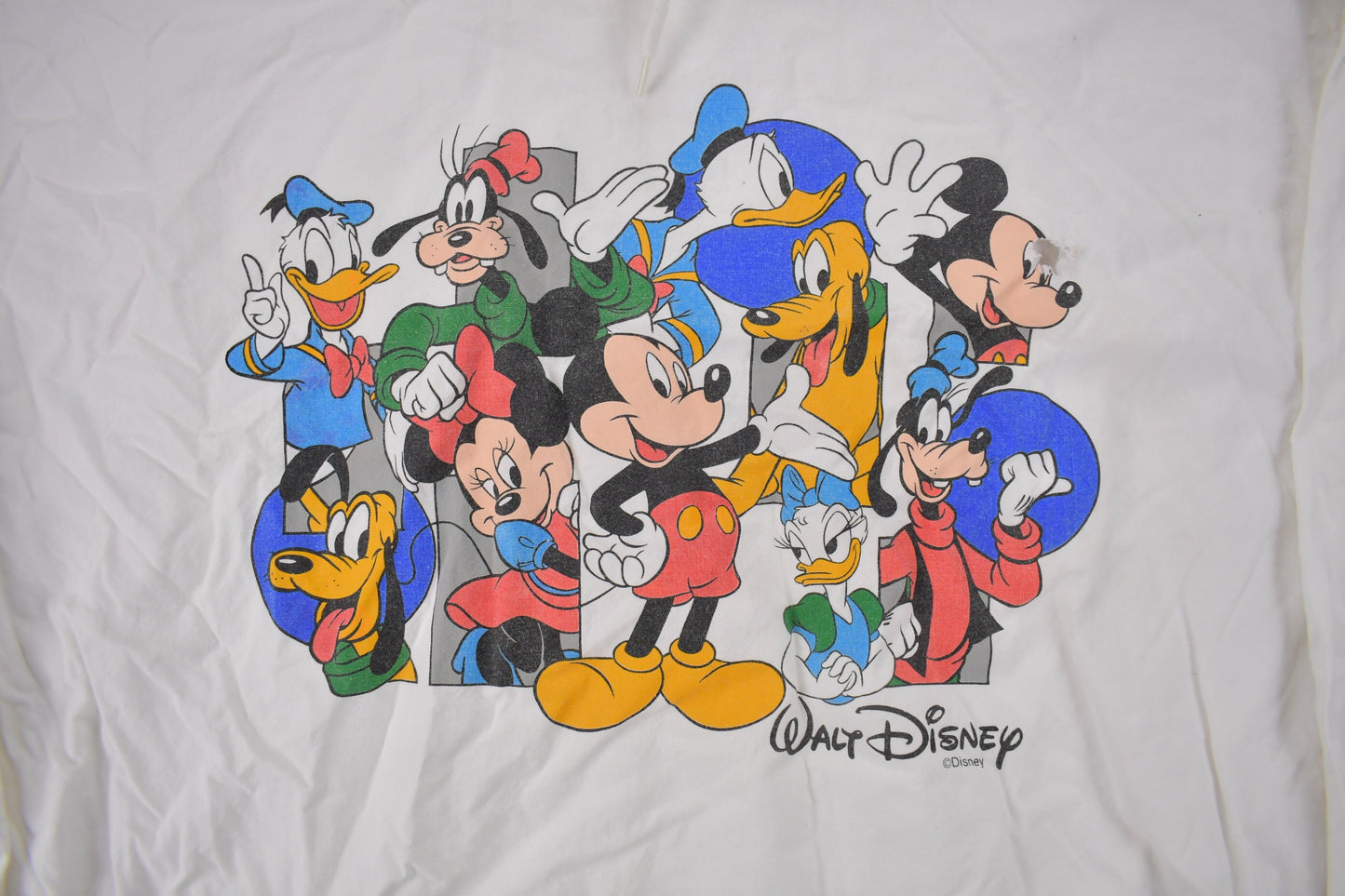 Vintage 1990s Walt Disney Light Windbreaker Jacket / 90s Disney / Size Large / Made In Canada