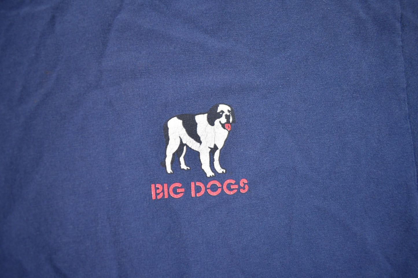 Vintage 2001 Big Dogs Who Let The Dogs Out T-Shirt / Streetwear / Retro / Made In USA / 90s Graphic Tee