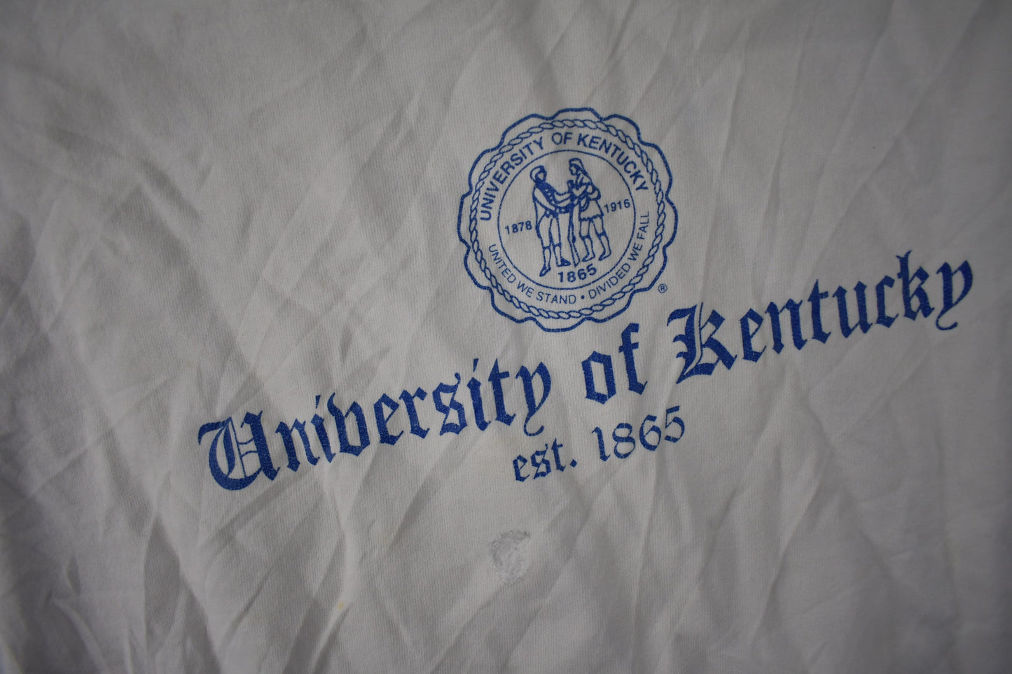 Vintage 1990s University Of Kentucky Collegiate Crewneck Size XL