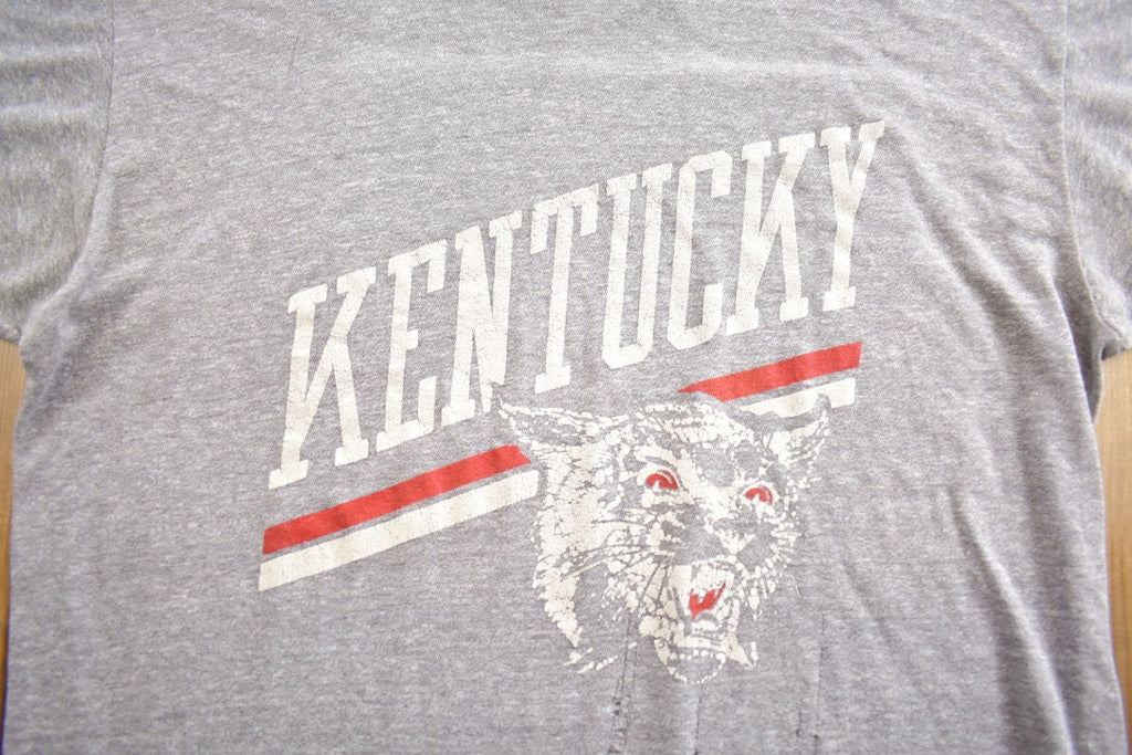 Vintage 1980s Kentucky Wildcats Champion Collegiate Graphic T-Shirt Made In USA