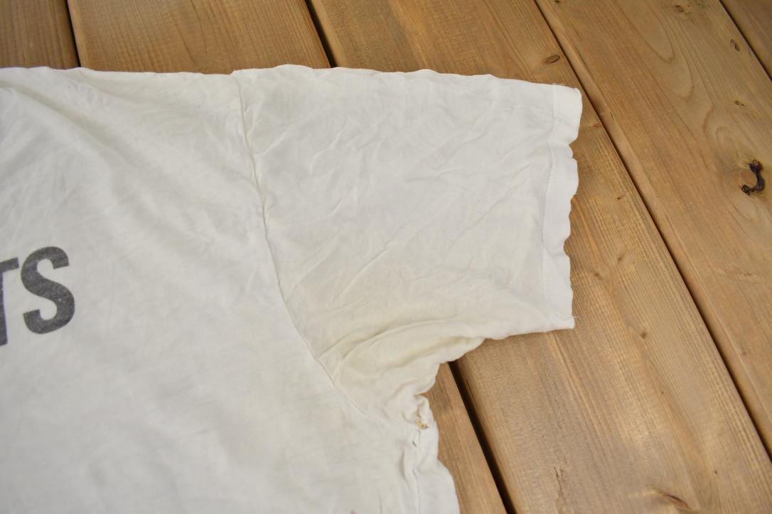 Vintage Y2K Descendents Distressed Graphic T-Shirt