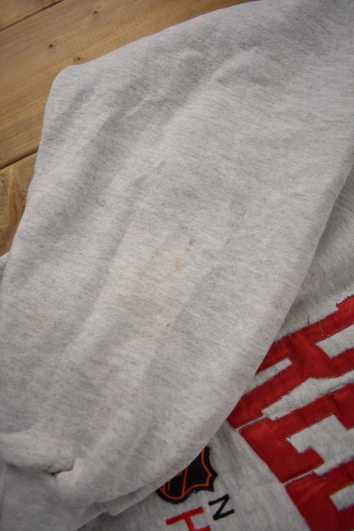 Vintage 1990s Detroit Red Wings NHL Embroidered Crewneck Sweatshirt